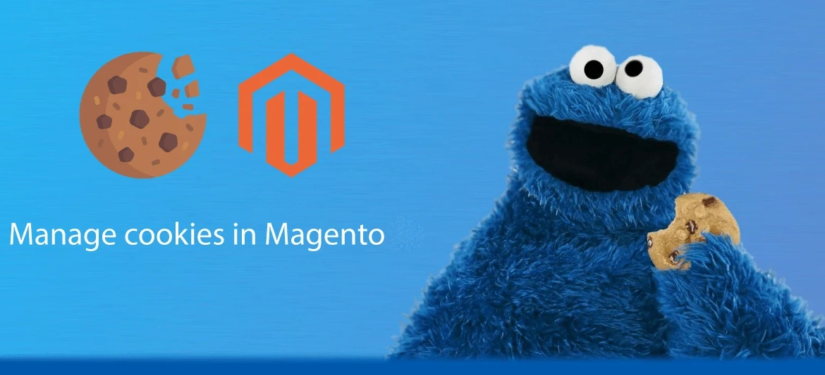 Magento set, get and delete cookie data