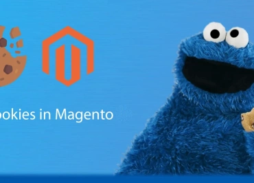 Magento set, get and delete cookie data