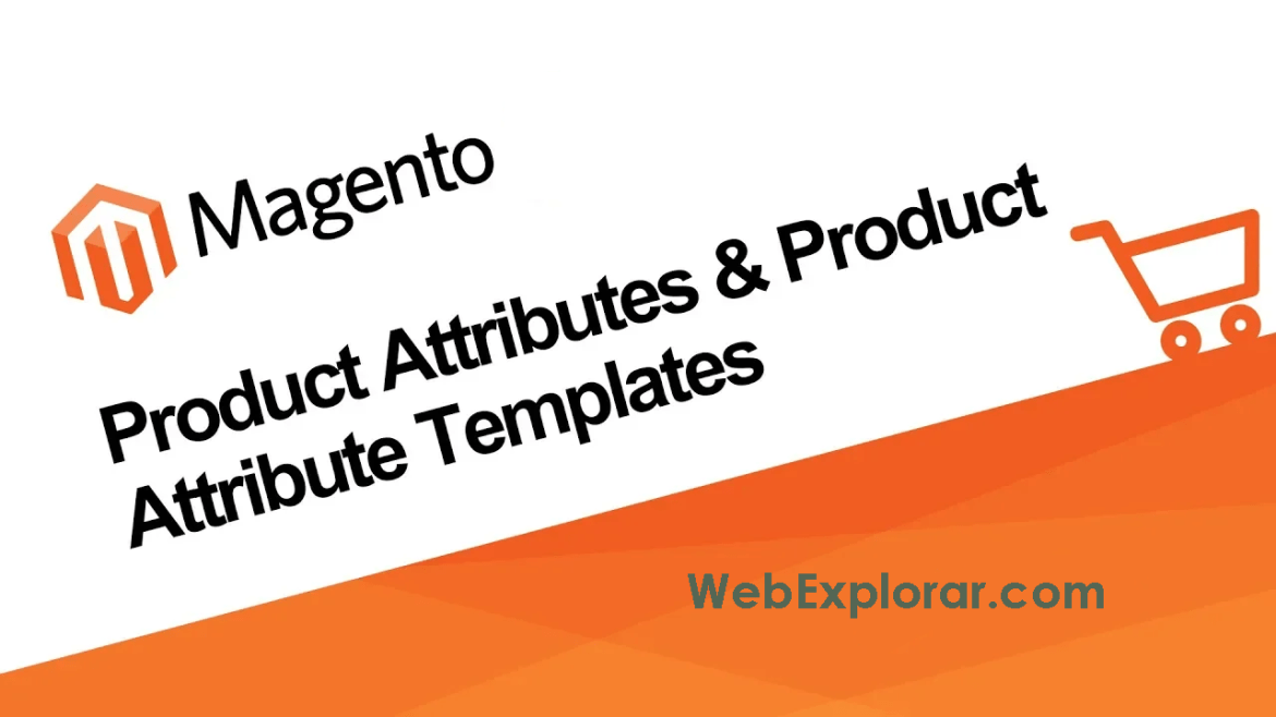 Magento add custom attribute to product details page